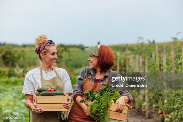 dos alegres granjeras que llevan cajas de madera llenas de verduras en el campo - puesto de mercado agrícola fotografías e imágenes de stock