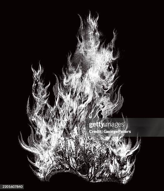 ilustrações de stock, clip art, desenhos animados e ícones de fire flames cut out on black background - fogueira