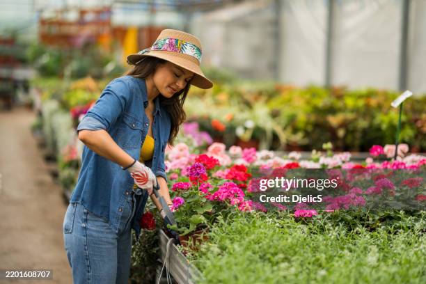 happy young woman cultivating flowers at flower center - espalhar imagens e fotografias de stock