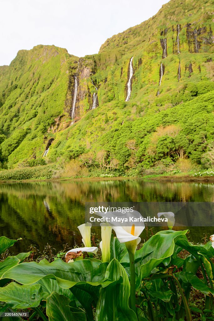 Waterfalls on Flores Island, Azores Portugal