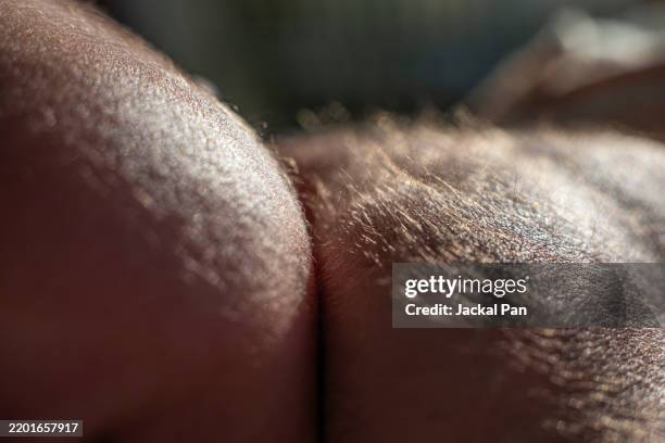 fetal hair on the back of newborns - male skin close up stock pictures, royalty-free photos & images