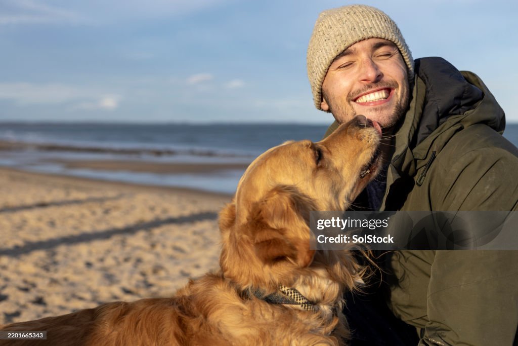 Liebender Hund, der seinem Besitzer Küsse gibt