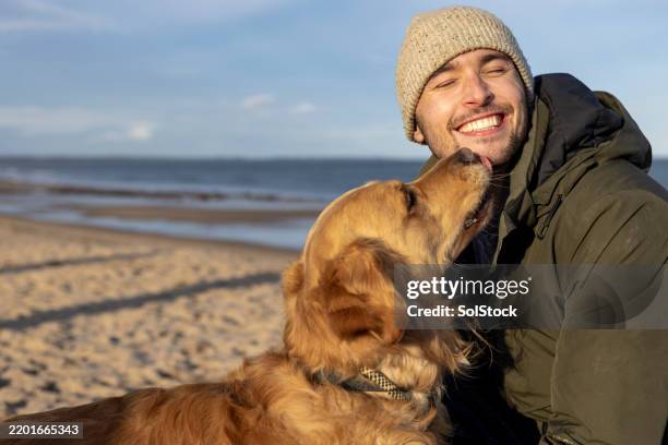 loving dog giving owner kisses - guy with dog lifestyle stock pictures, royalty-free photos & images