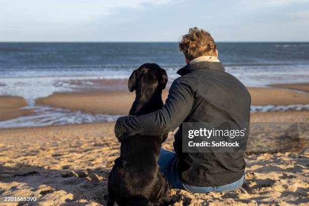 hund und besitzer genießen den meerblick - halbnahe-einstellung stock-fotos und bilder