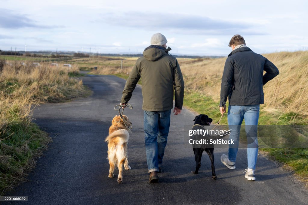 Friends Bonding While Strolling With Their Dogs