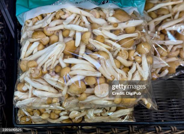 Packaged Raw Shimeji Mushrooms High-Res Stock Photo