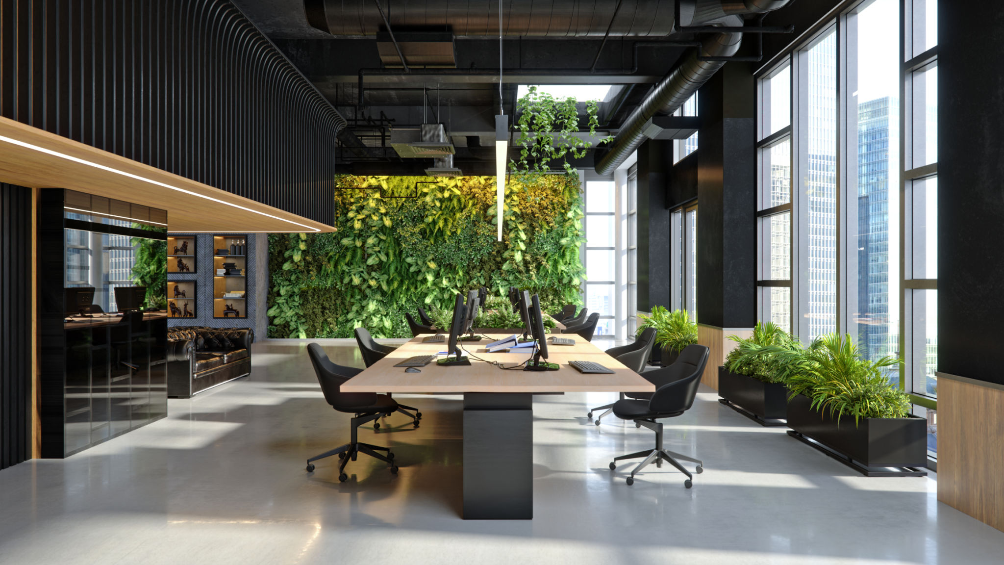 office plants