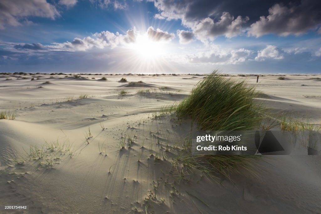 Sunset in the dunes of Wadden island Texel in The Netherlands
