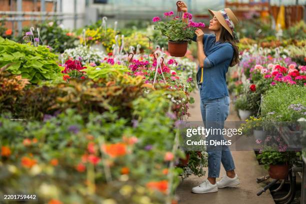 happy young woman collecting flowers at flower center - tuincentrum stockfoto's en -beelden