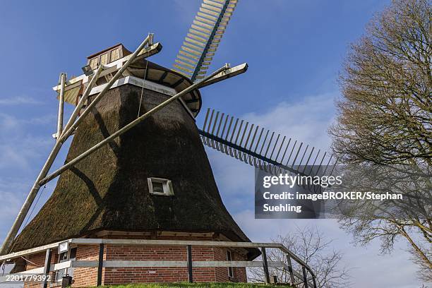 Burlage 72 Burlage Stock Photos, High-Res Pictures, and Images - Getty Images