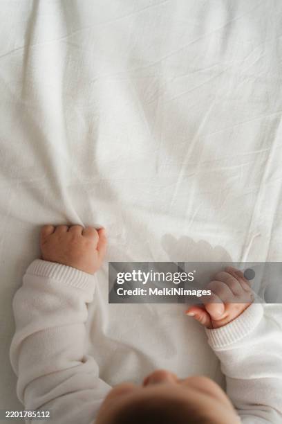 little hands, big wonders - crawling stock pictures, royalty-free photos & images
