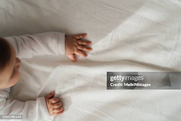 little hands, big wonders - crawling stock pictures, royalty-free photos & images