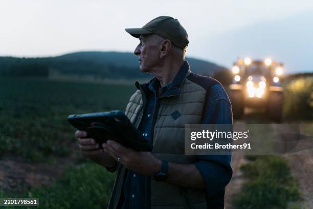 älterer landwirt begutachtet die ernte beim laufen auf dem feld mit einem digitalen tablet am abend - agronom stock-fotos und bilder