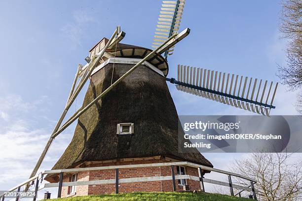 Burlage 72 Burlage Stock Photos, High-Res Pictures, and Images - Getty Images