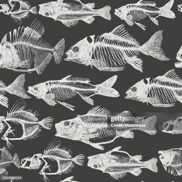 fish skeleton bones repeat pattern - fish skeleton stock illustrations