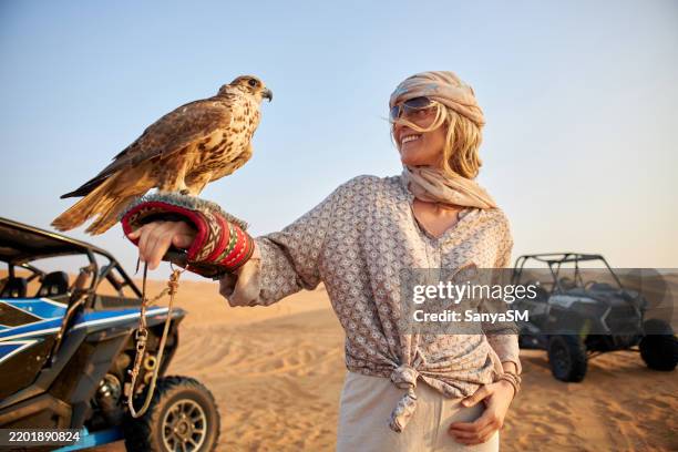 hermosa mujer sosteniendo halcón en el desierto de dubai - safari fotografías e imágenes de stock