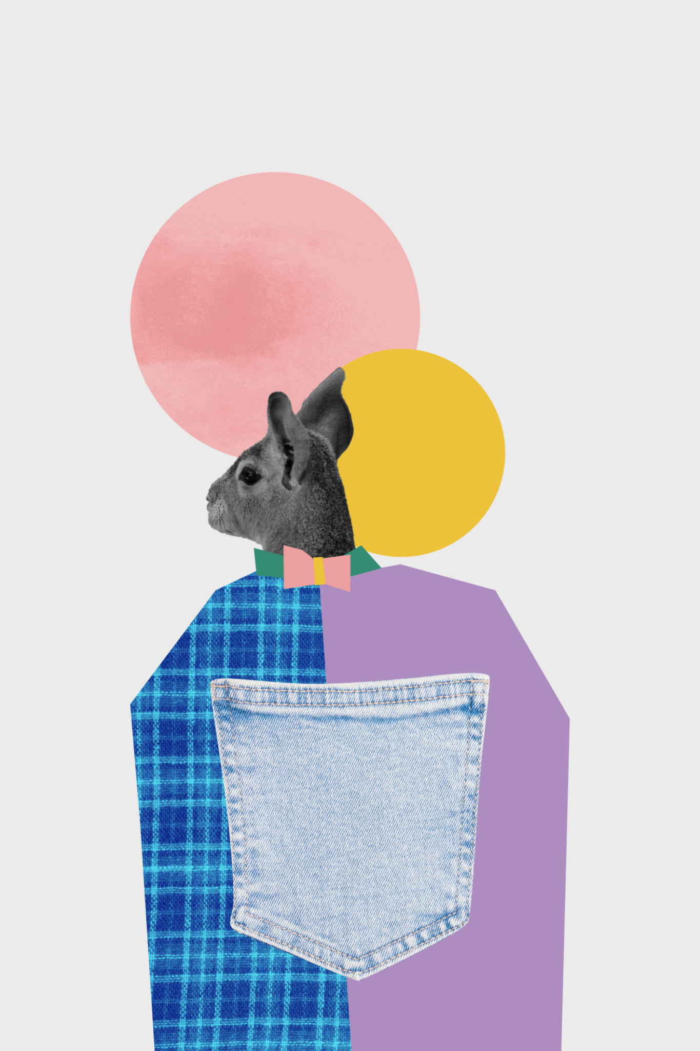 sewing pet clothes
