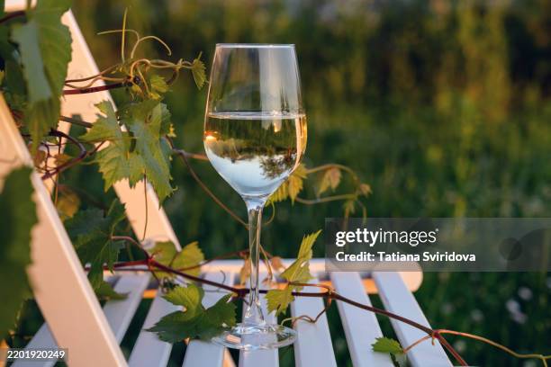 one glass of white wine on a table in summer garden - witte wijn stockfoto's en -beelden