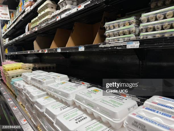 Eggs in refrigerated aisle at grocery store, Queens, New York.