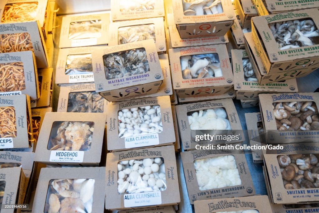 Specialty Mushrooms Display