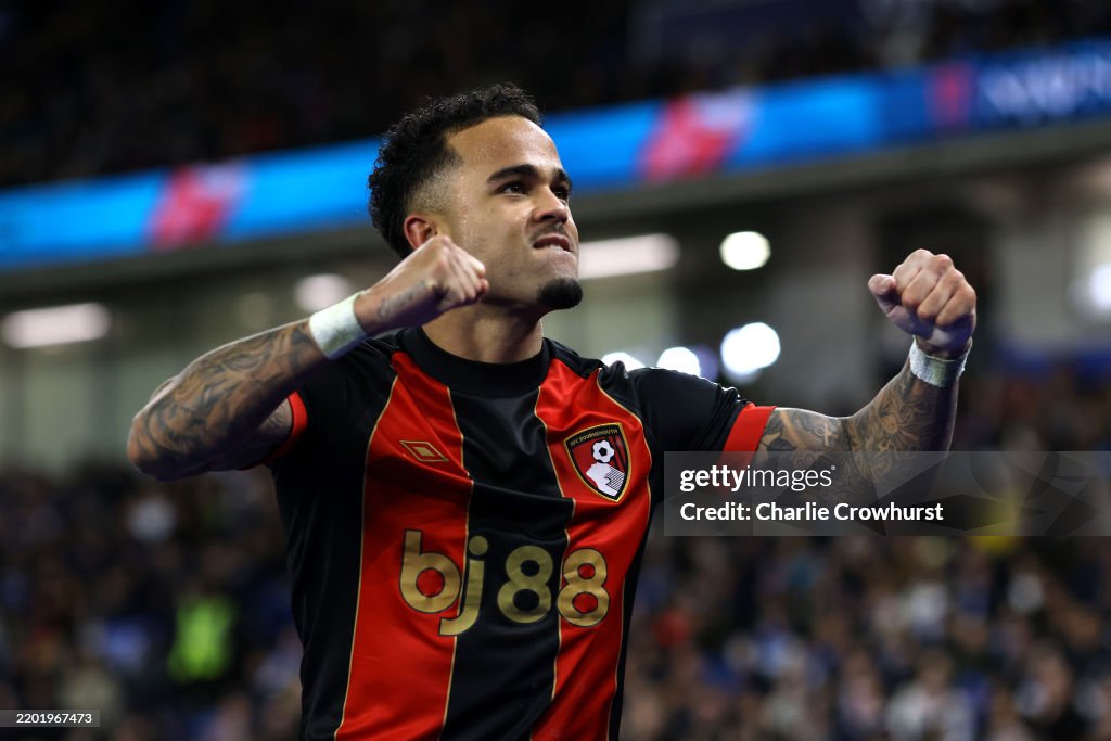 Brighton & Hove Albion FC v AFC Bournemouth - Premier League