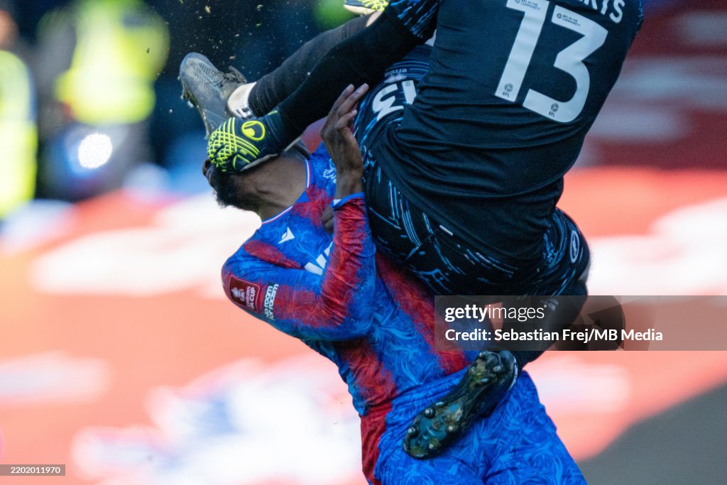 Crystal Palace v Millwall - Emirates FA Cup Fifth Round