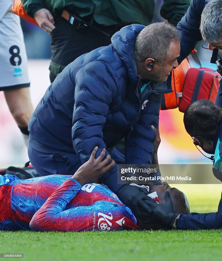 Crystal Palace v Millwall - Emirates FA Cup Fifth Round