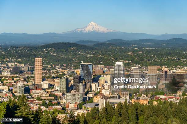 portland, oregon skyline and mount hood - northwest stock pictures, royalty-free photos & images