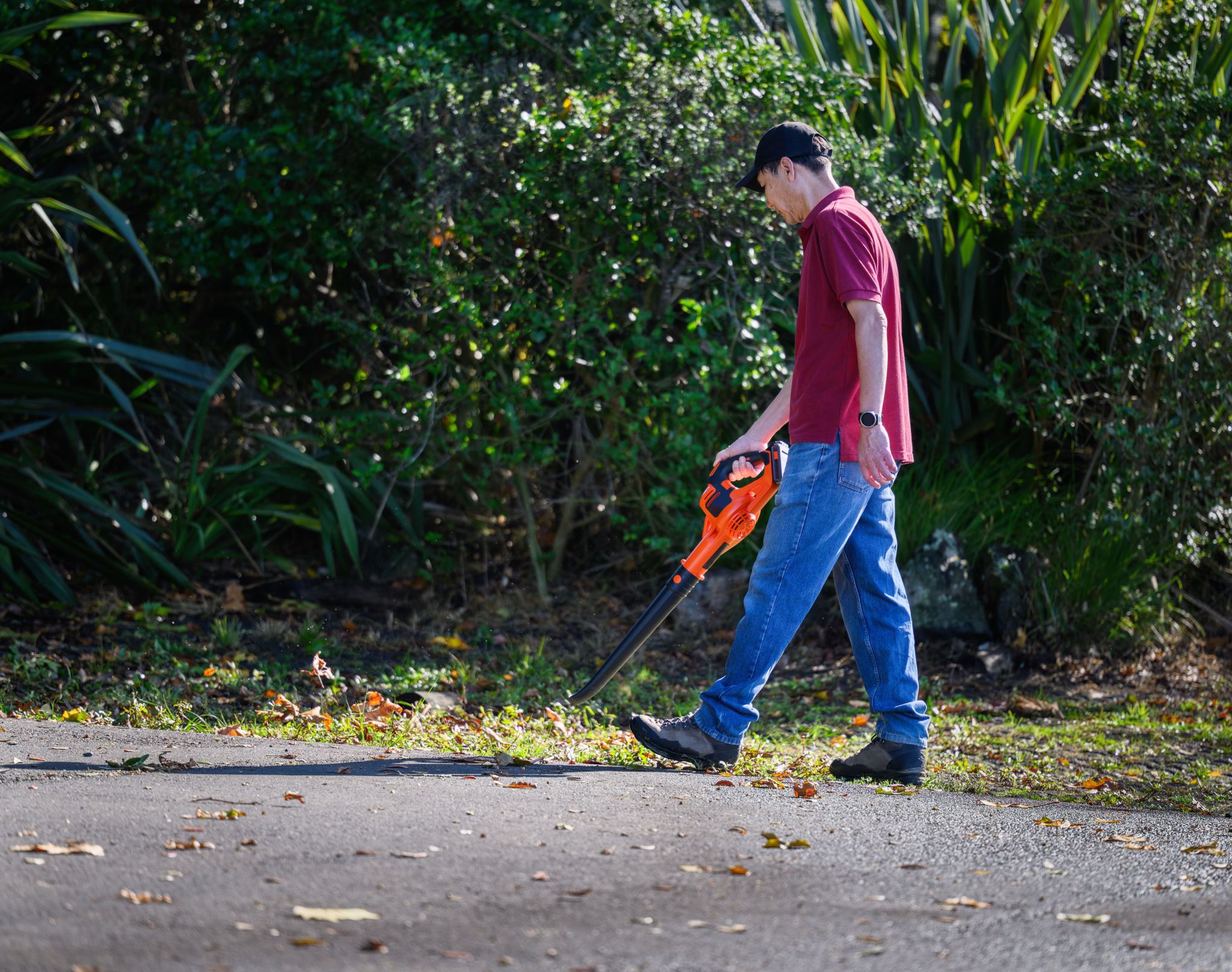 leaf blower driveway