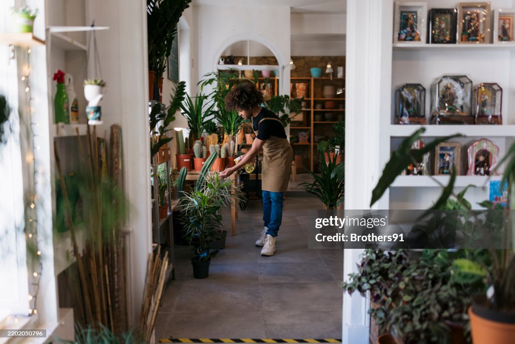 Young florist taking care of plants in his flower shop