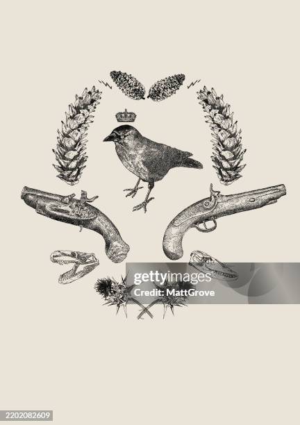 jackdaw bird clan emblem with thistles, muskets, pinecones and skulls - thistle stock illustrations