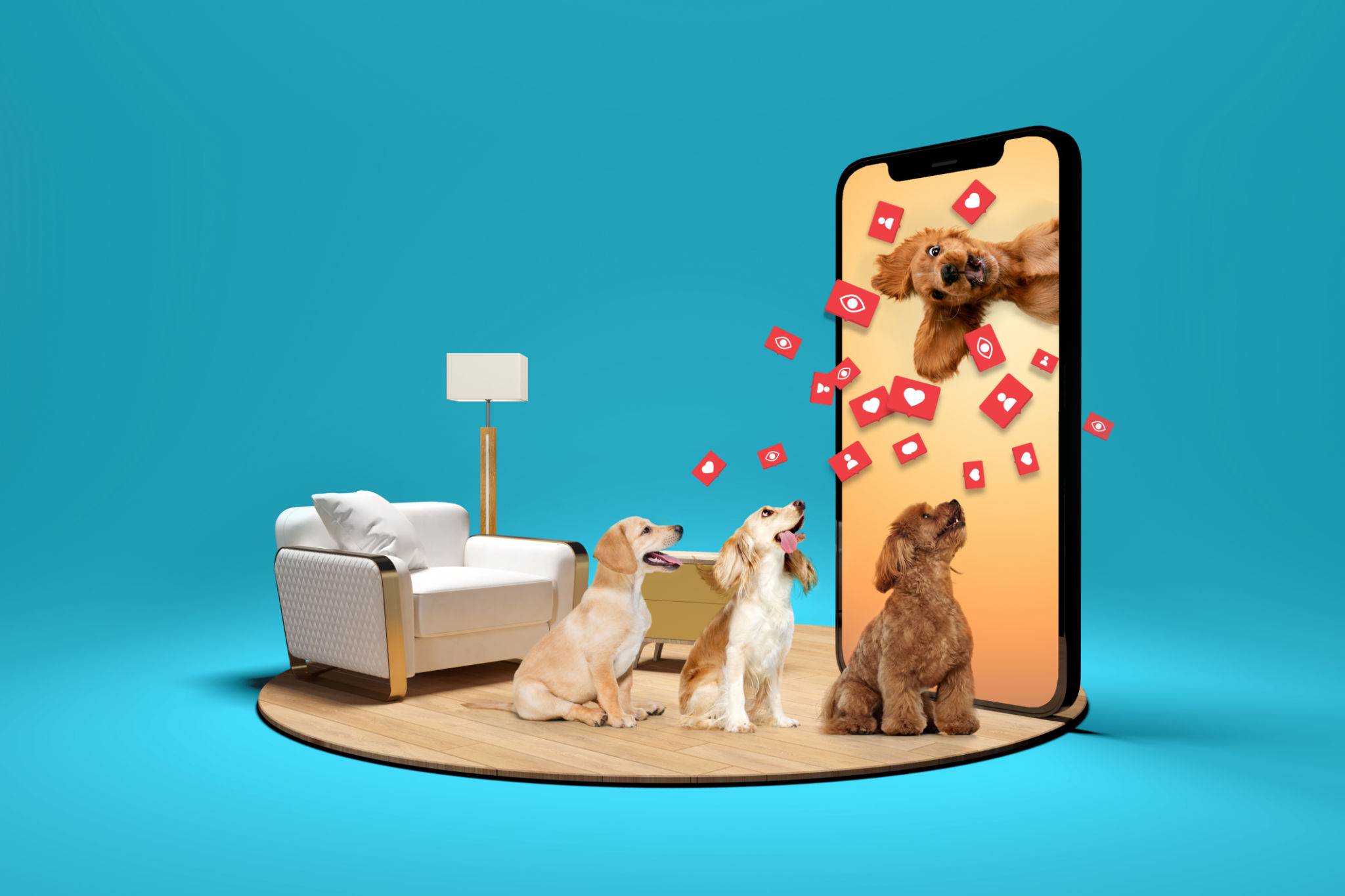 virtual pet adoption