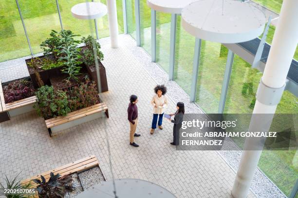 blick aus der vogelperspektive auf drei geschäftskollegen, die im atrium eines modernen bürogebäudes mit tageslicht und grün über die arbeit diskutieren - atrium architektonisches detail stock-fotos und bilder