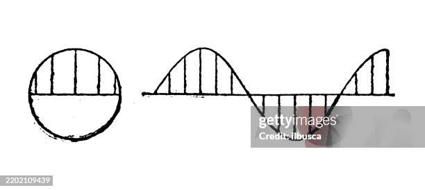 sinusoid - mathematical-function stock-grafiken, -clipart, -cartoons und -symbole