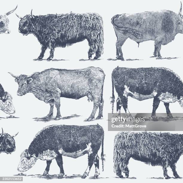 cattle in rows seamless repeat pattern tonal - holstein friesian cattle stock illustrations