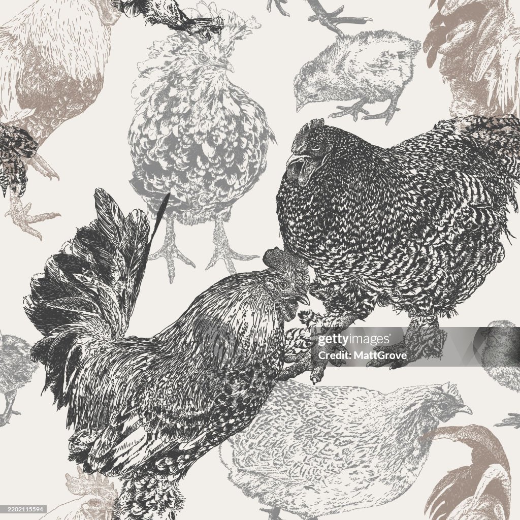 Chicken Repeat Pattern Chickens Cockerels Hens Roosters Repeat Pattern High-Res Vector Graphic ...