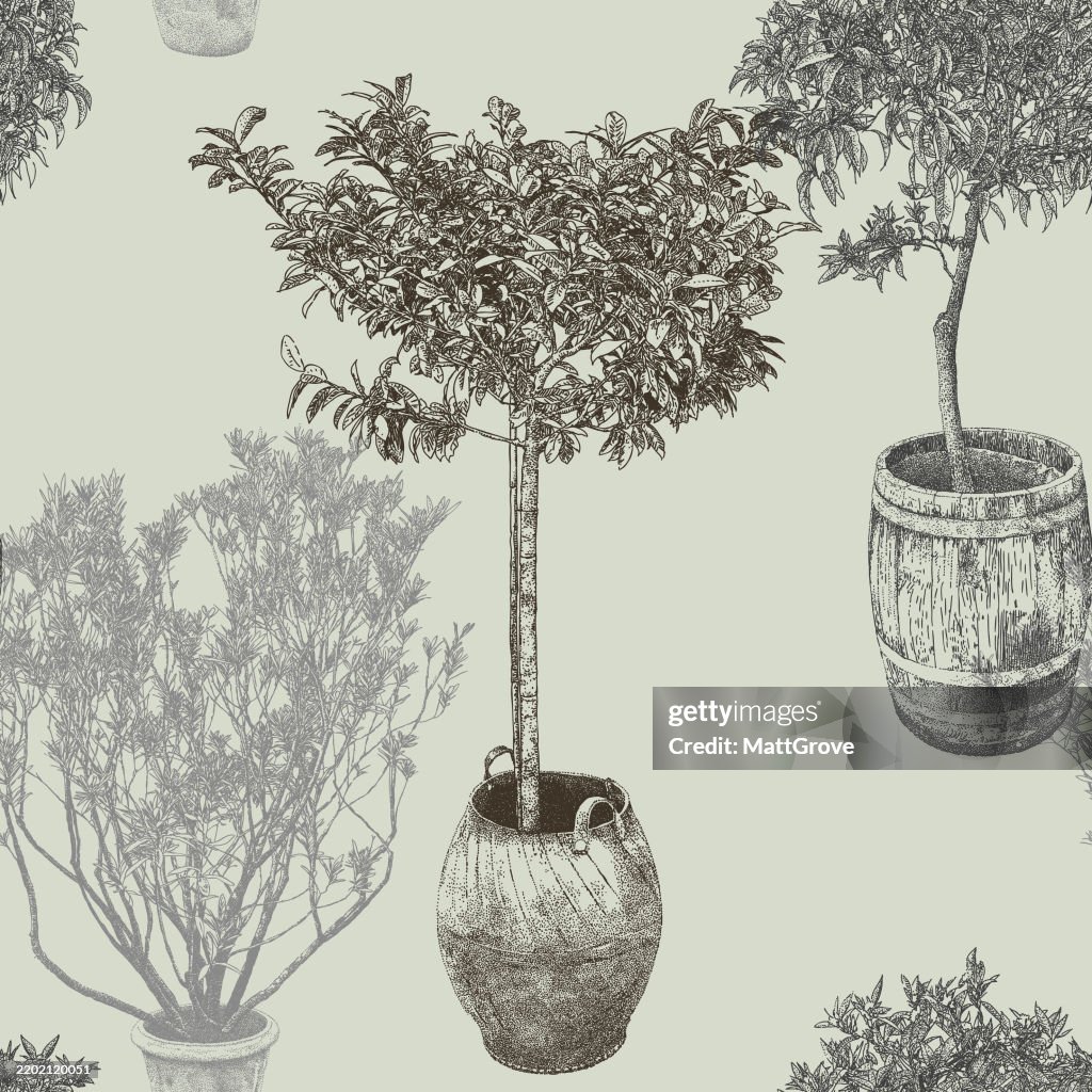 Arbres en pot. Ornements de jardin répéter le motif