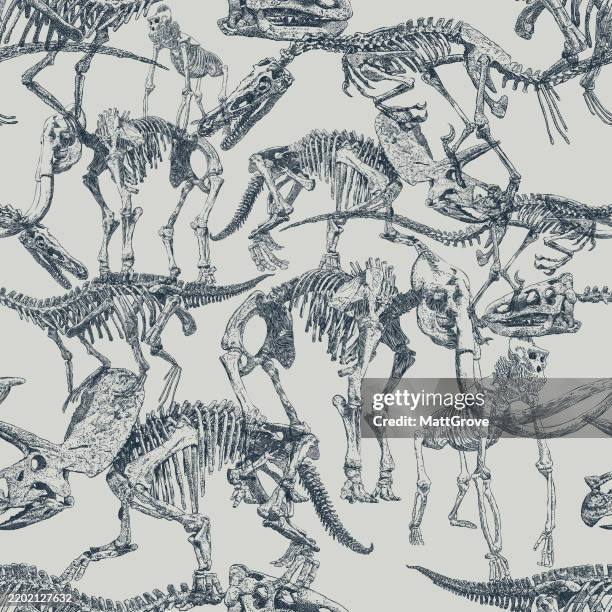 stockillustraties, clipart, cartoons en iconen met dinosaur skeleton seamless pattern dark om light - drawing dinosaurs