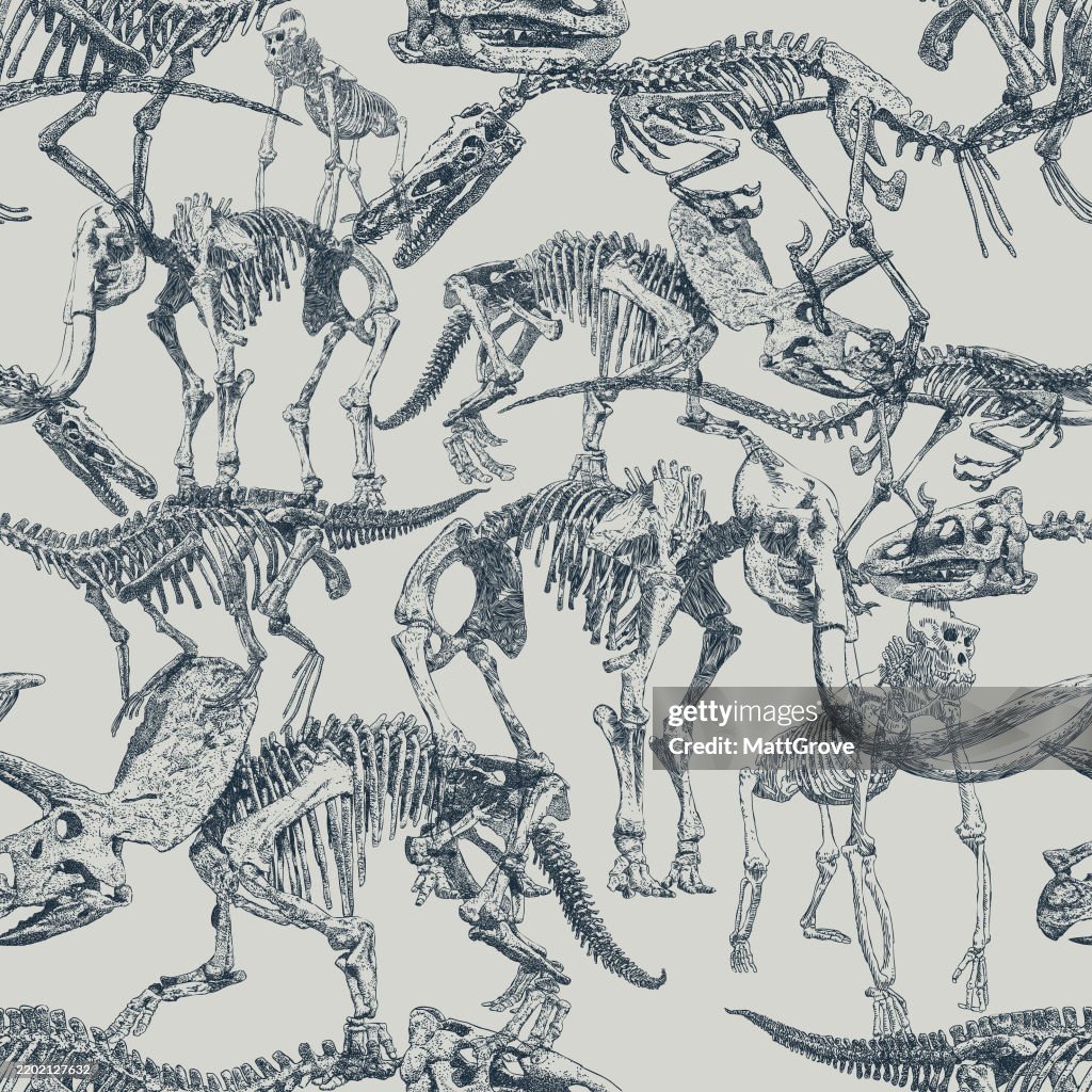Dinosaur Skeleton Seamless Pattern Dark om Light
