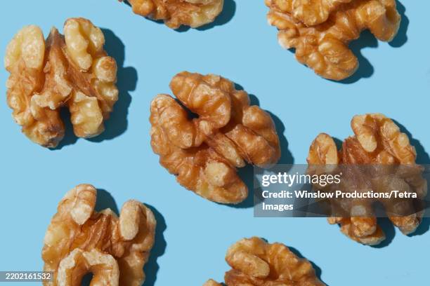 overhead view of walnuts against blue background - walnuss stock-fotos und bilder