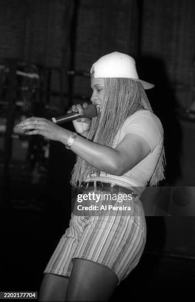 Yoyo Rapper Young 10,520 Ritz Carlton Hotel (New York City) Stock Photos, High-Res ...
