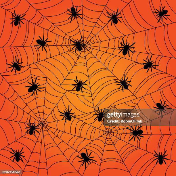 colorful spider web background - spider web background stock illustrations
