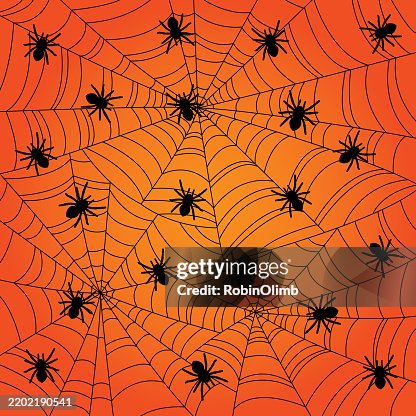 Colorful Spider Web Background Colorful Spider Web Background