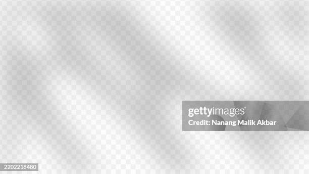 bildbanksillustrationer, clip art samt tecknat material och ikoner med tree and leaf shadow overlay with transparent background. shadow overlay effect mockup for design template. - fönster