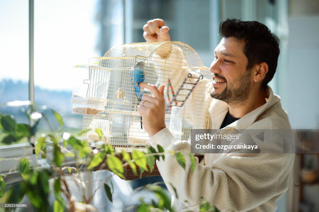 Joven Jugando Con Periquito Mascota