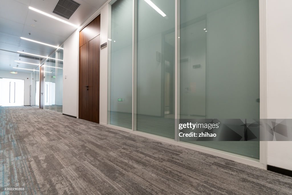 Modern Office Hallway with Glass Walls and Carpet Flooring