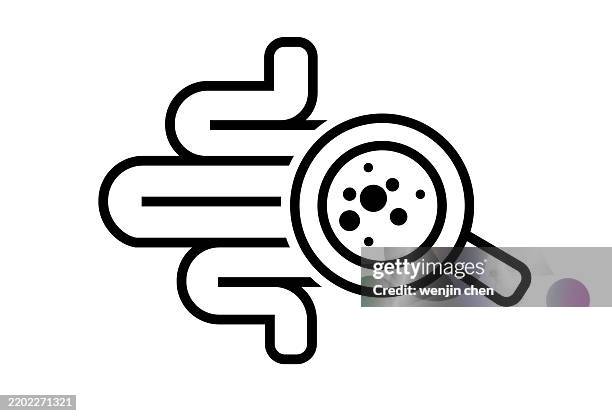 magnifying glass with intestine icon, - large intestine stock illustrations