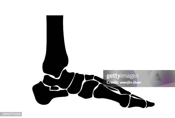 foot side joint orthopedics icon - toe stock illustrations