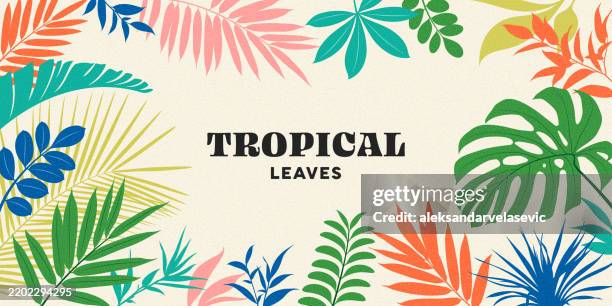 sommerhintergrund mit tropischen blättern - tropisches muster stock-grafiken, -clipart, -cartoons und -symbole