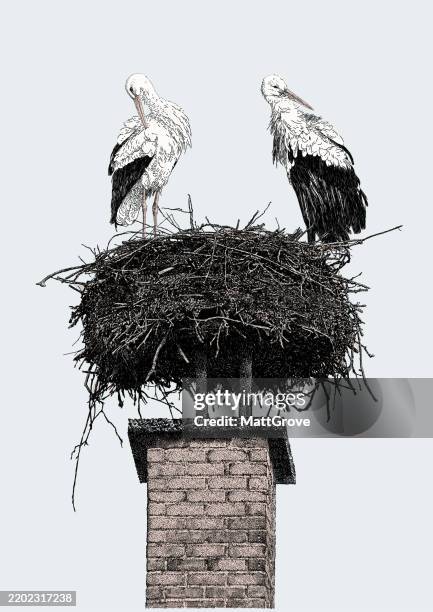 ilustrações de stock, clip art, desenhos animados e ícones de white storks on chimney stack nesting - cegonha